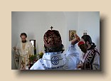 P1100631 (Medium)